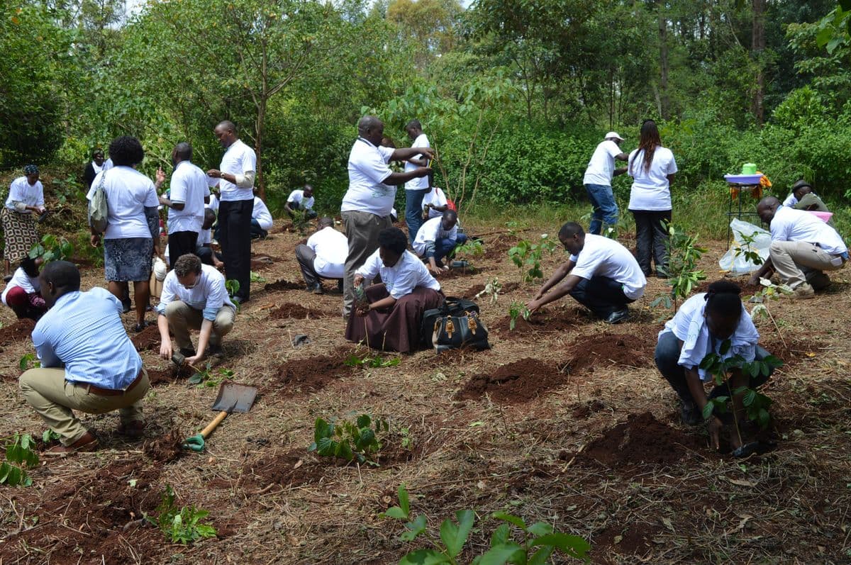 CHAKE community work or field training activity.